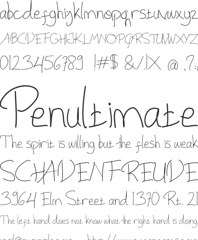 ThePalmer font preview