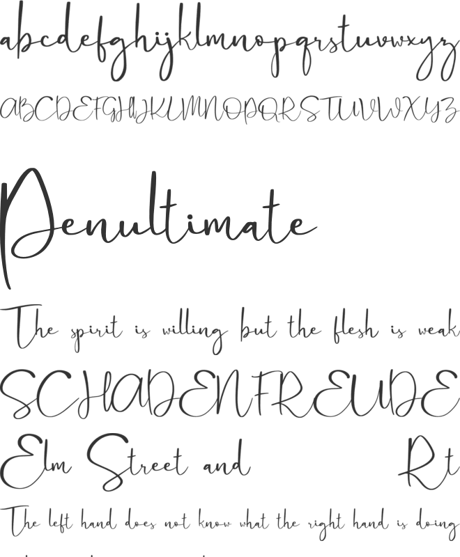 Cattus Free font preview