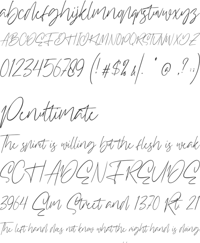 Williamson font preview