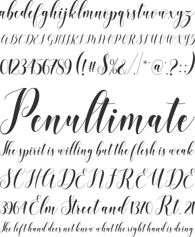 Wellcome font preview