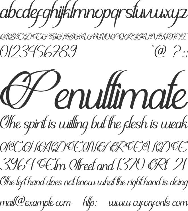Rheinalita Personal Use Only font preview