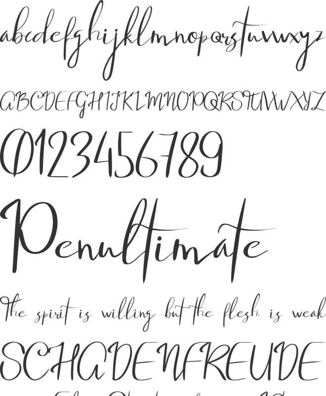 Jameela font preview