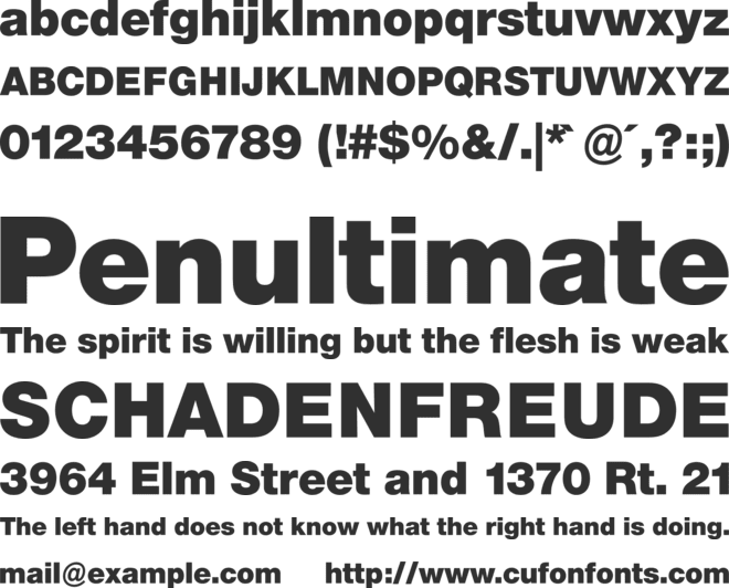 Neue Helvetica BQ font preview