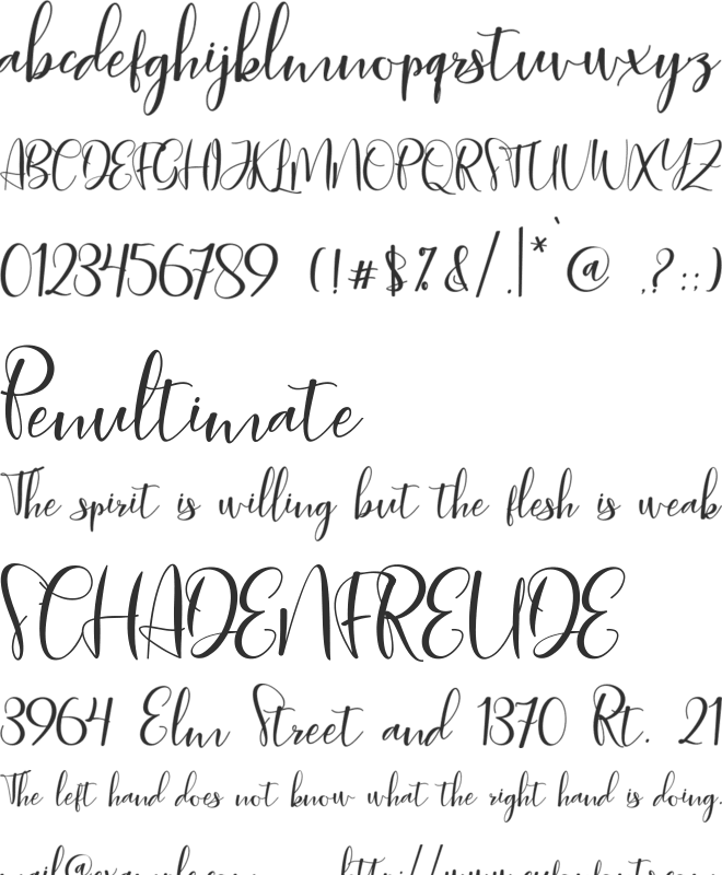 biglittle script font preview
