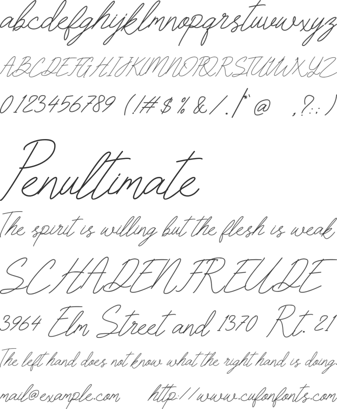 Signorth font preview