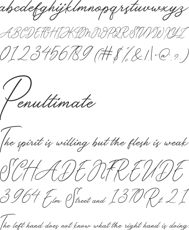 Venettica font preview