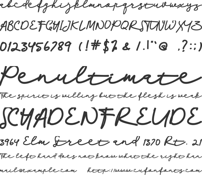 Palleto font preview