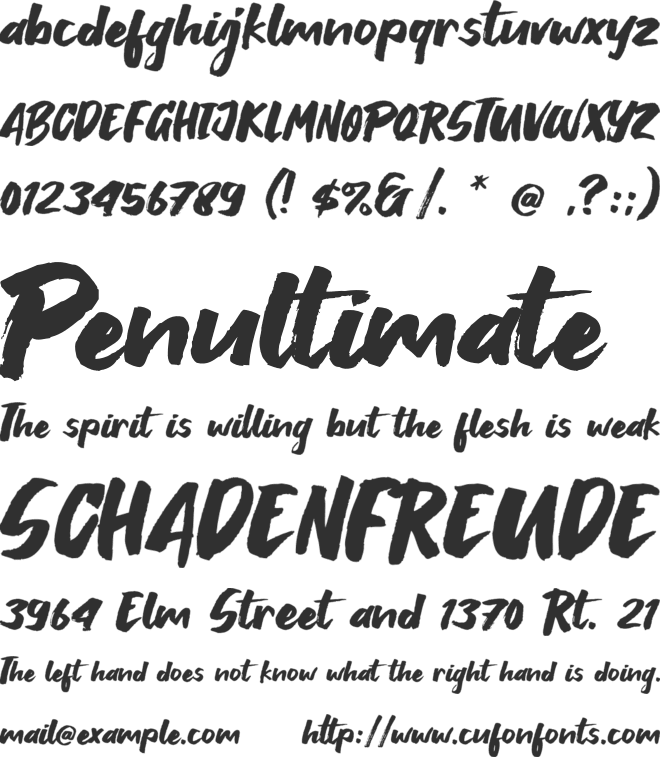 Breaking Wild font preview