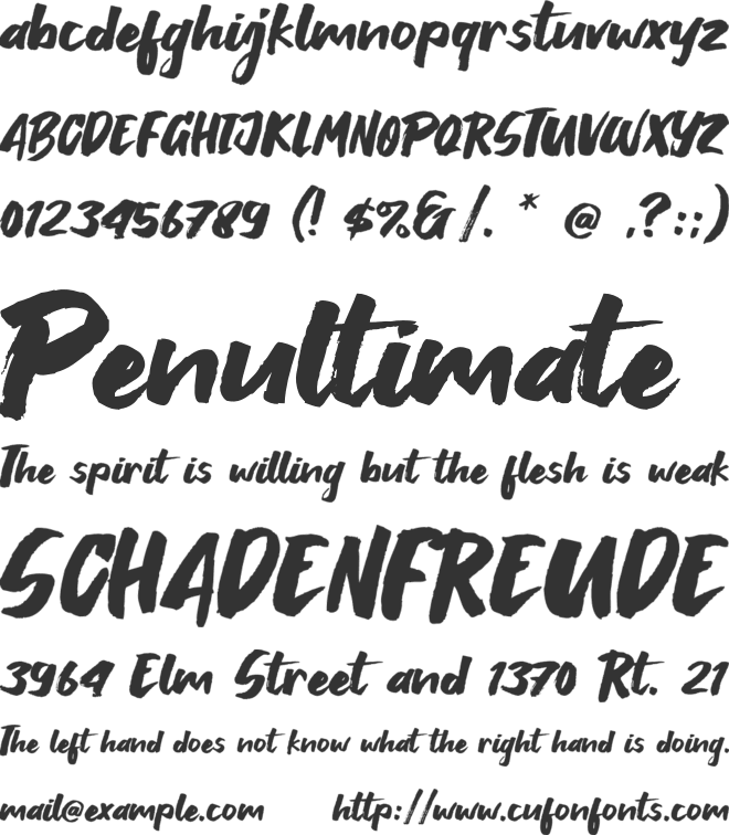 Breaking Wild font preview