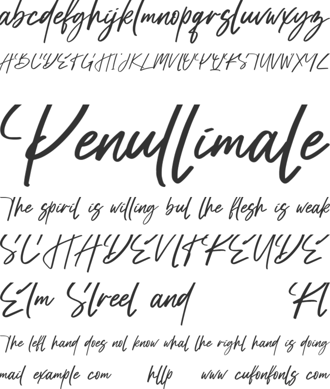 Satturday Collection font preview