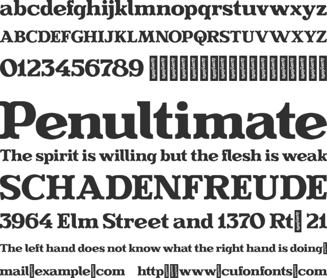 Evereast Serif font preview