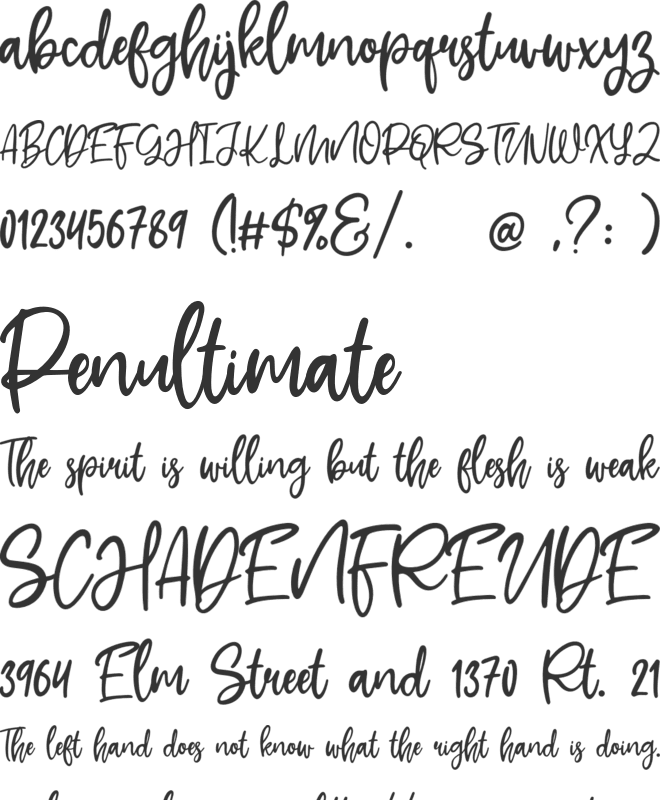 Shelva font preview