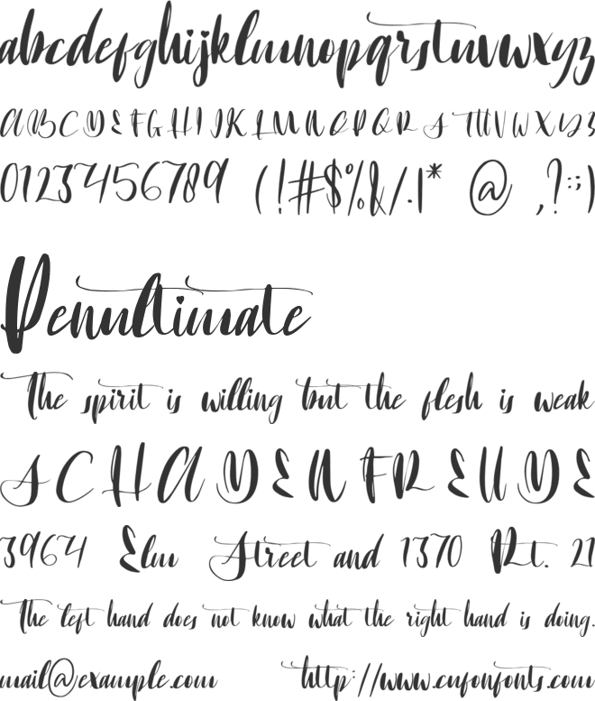Setia font preview