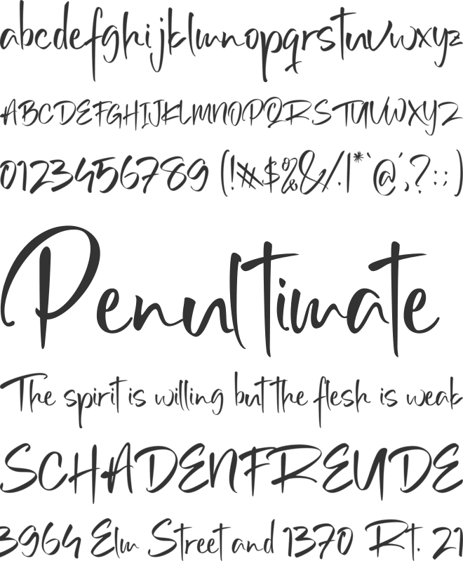 Violete font preview