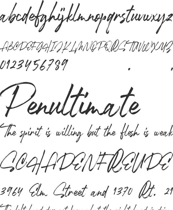 Robusta 02 font preview