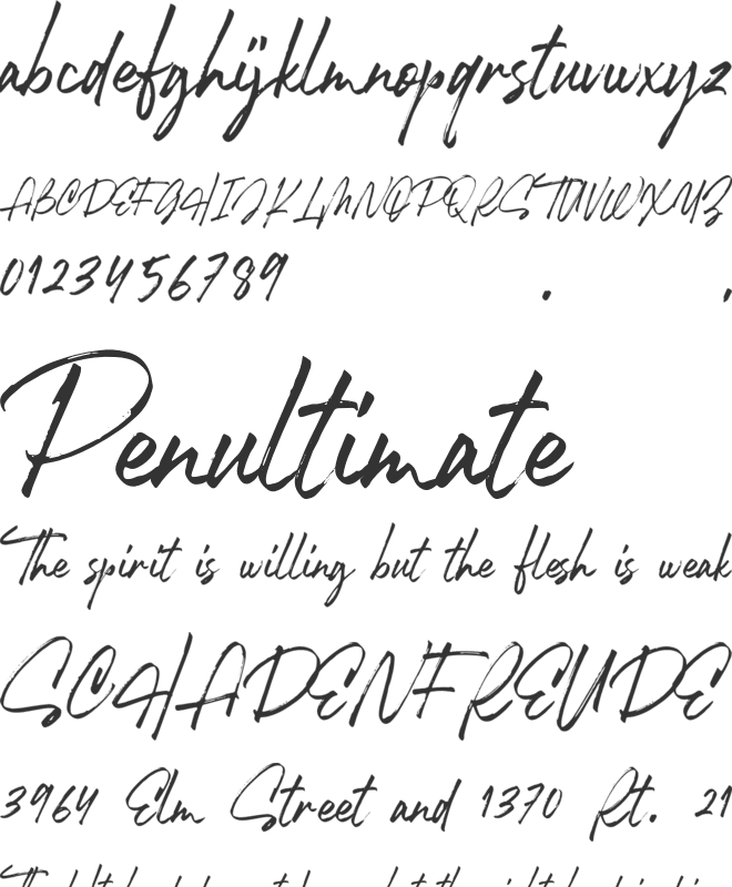 Robusta 02 font preview