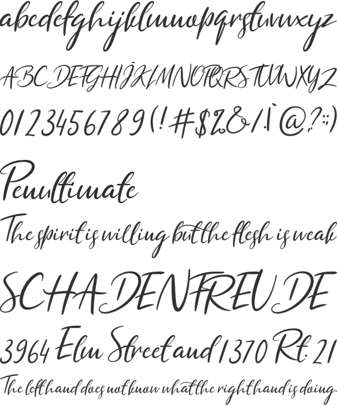South font preview