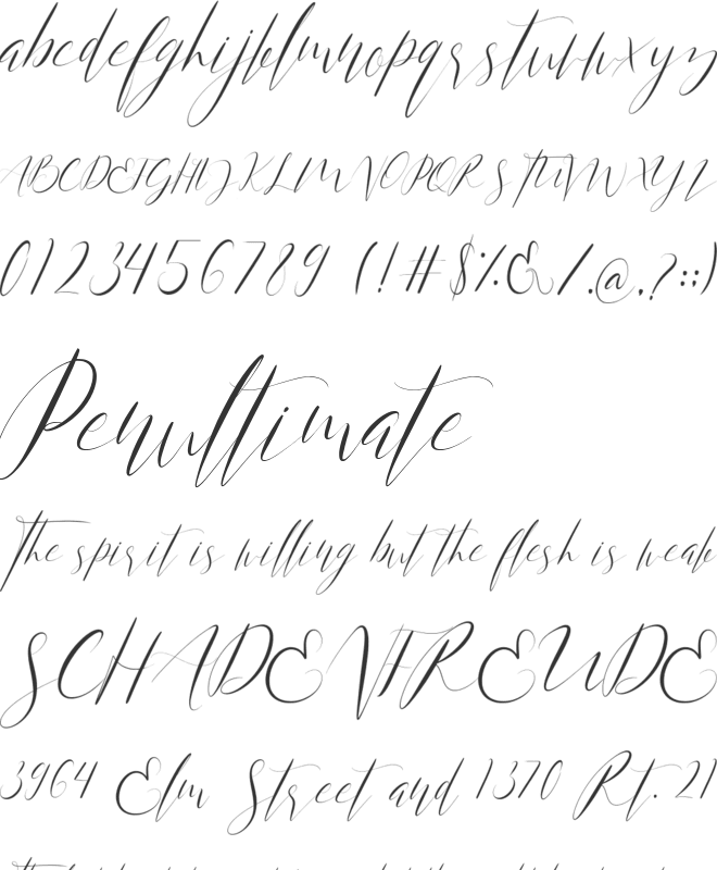 Anita Jane font preview