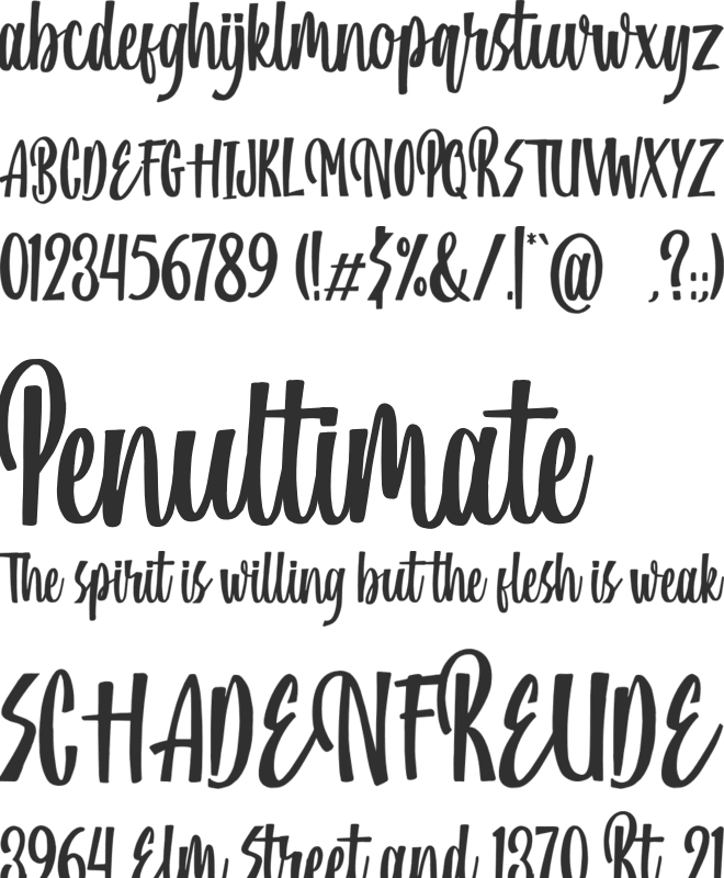 Pine Script font preview