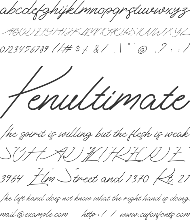 The Essential font preview