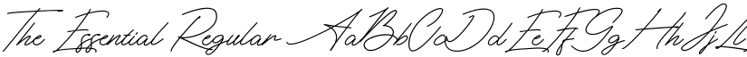 The Essential Regular font