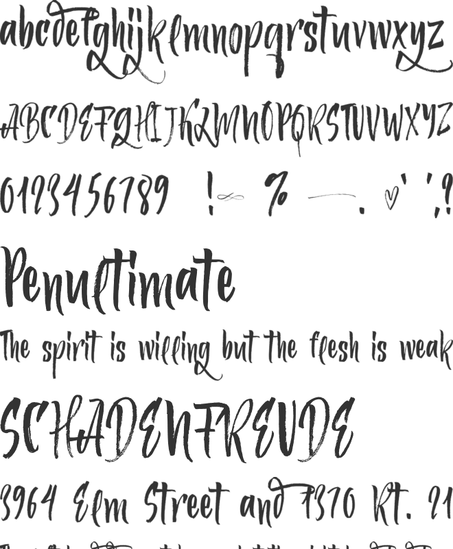 Ferguson font preview