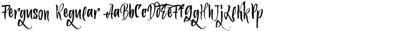 Ferguson Regular font