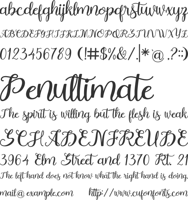 Holliday font preview