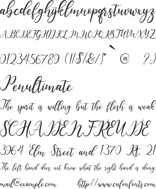 beauty friday font preview