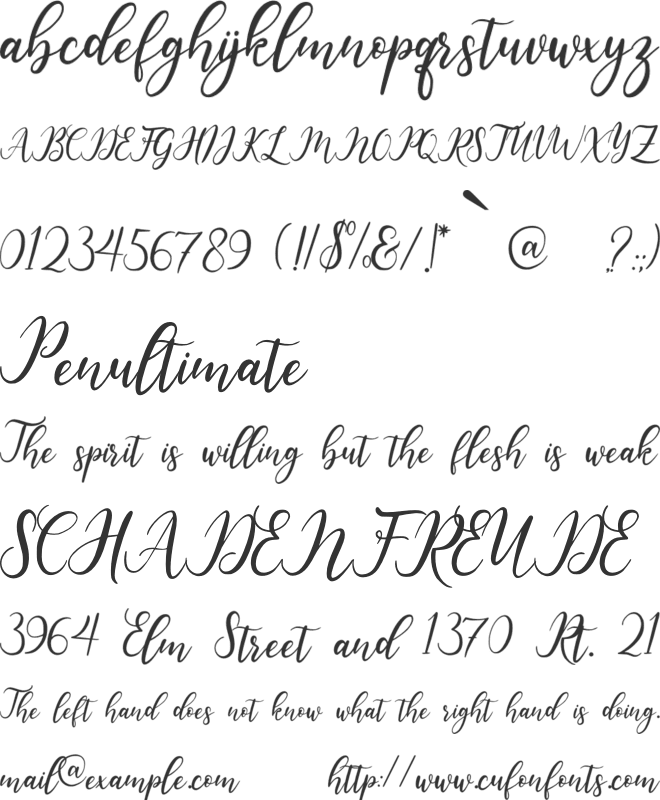 beauty friday font preview