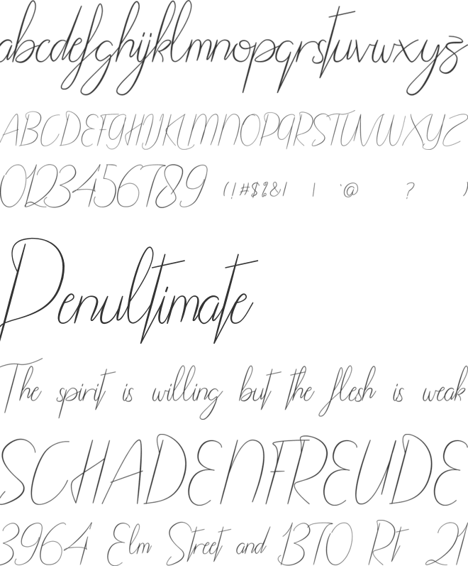 Shaenalle font preview