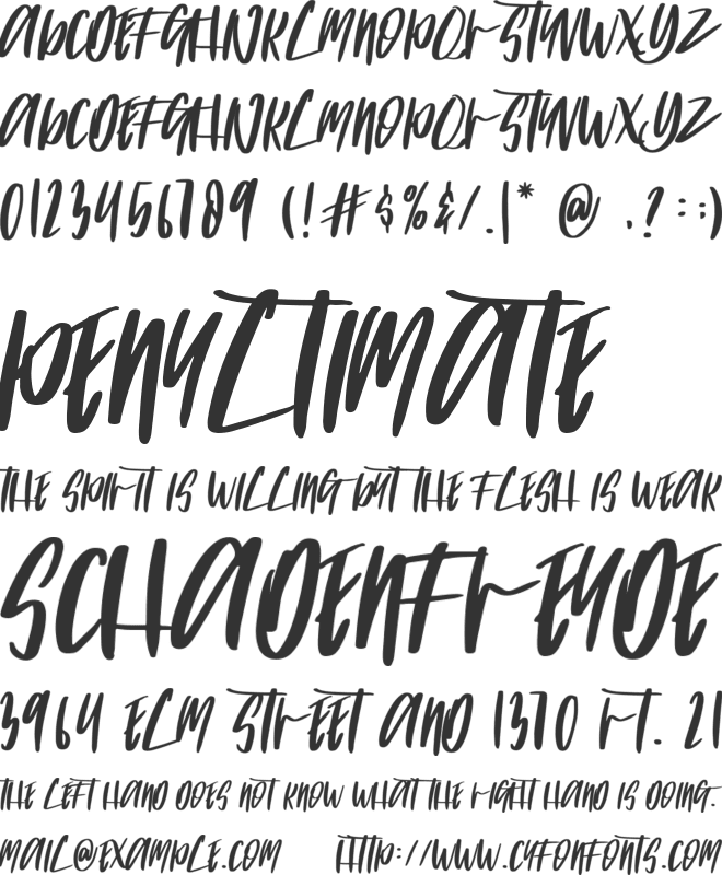 INCIDIDUNT font preview