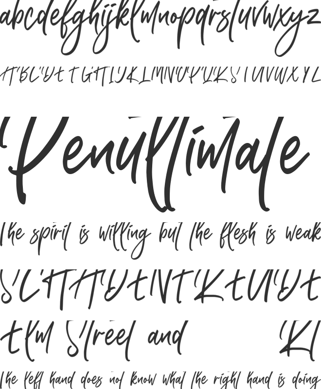 Higher Style font preview