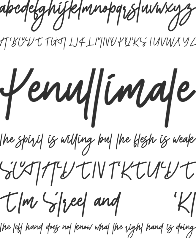 Monoline Signature font preview