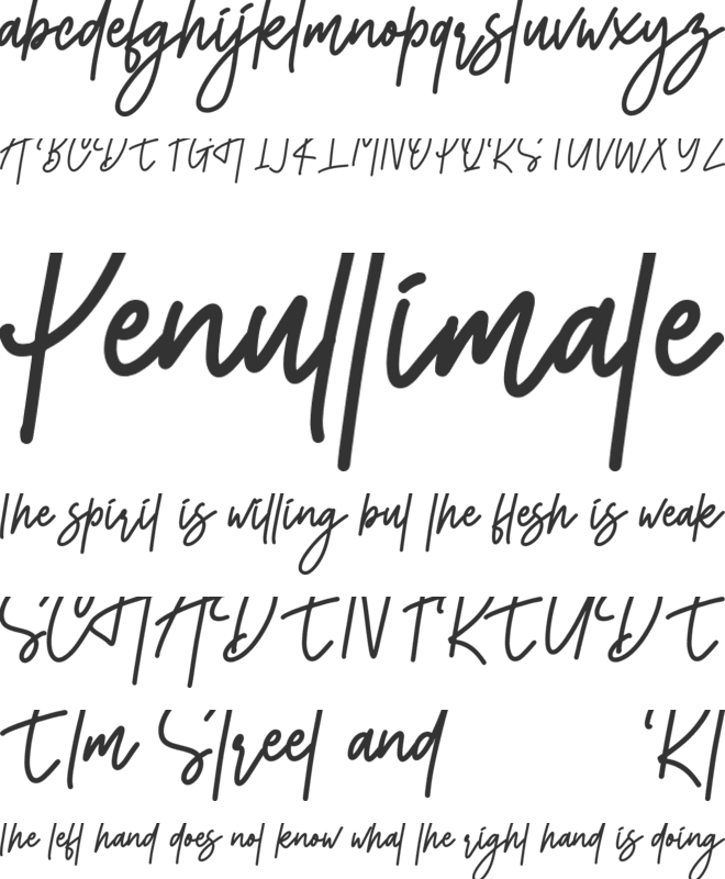 Monoline Signature font preview