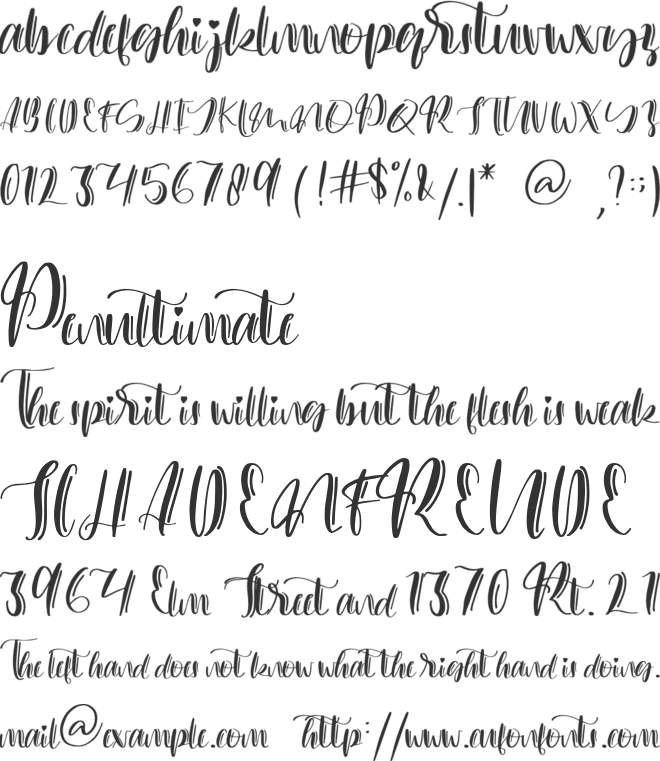 everbest font preview