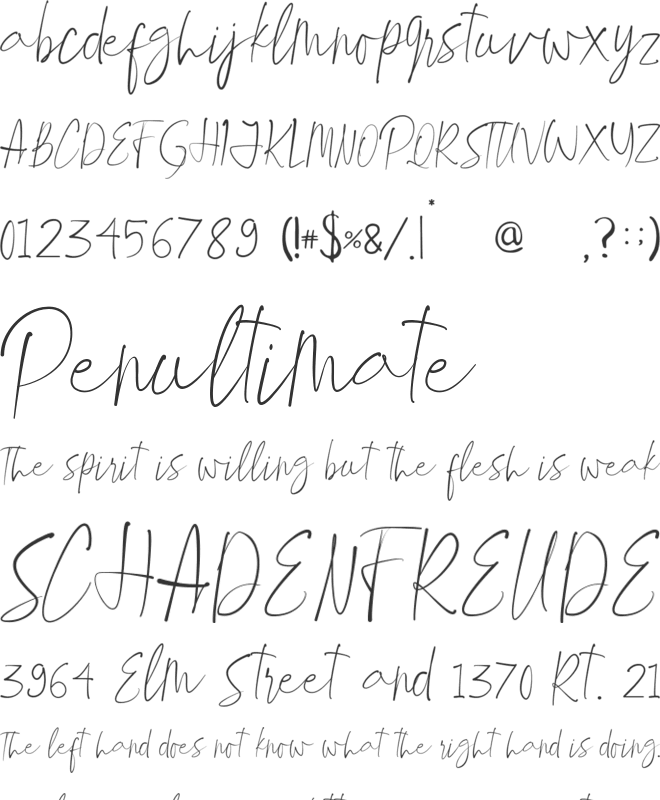 Winter Paradise font preview