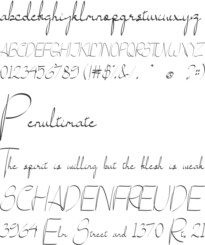 Taylilla font preview