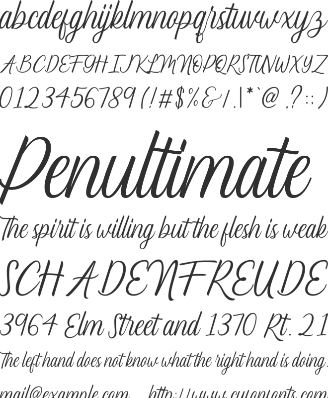 Lucy Carter font preview