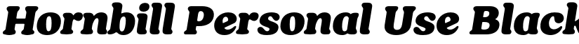 Hornbill Personal Use Black Italic font