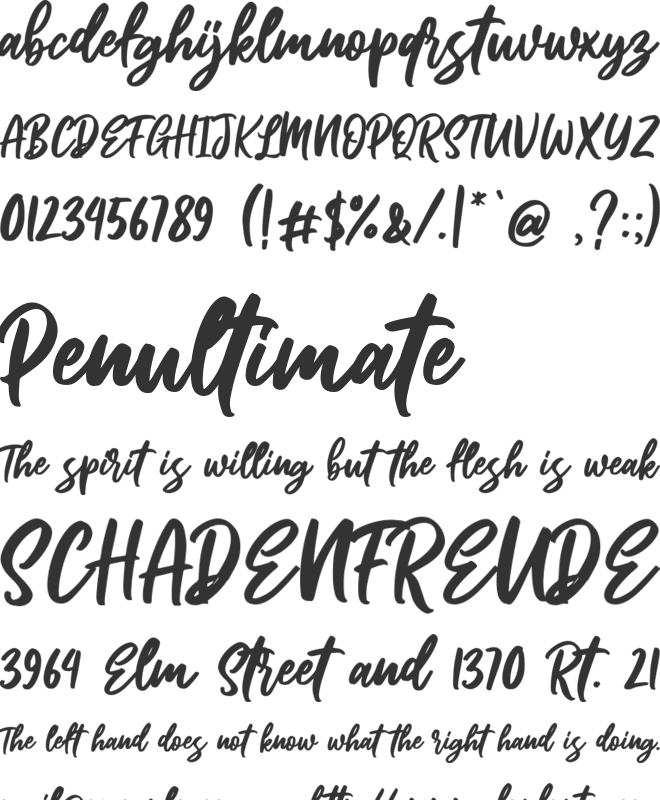 Tortilla font preview