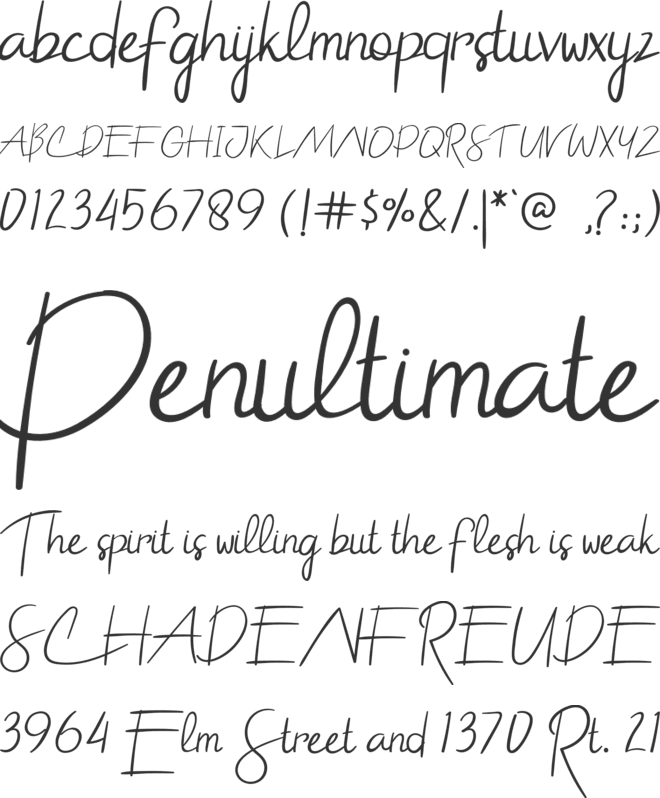 The Chief font preview