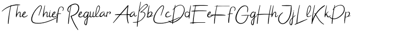 The Chief Regular font