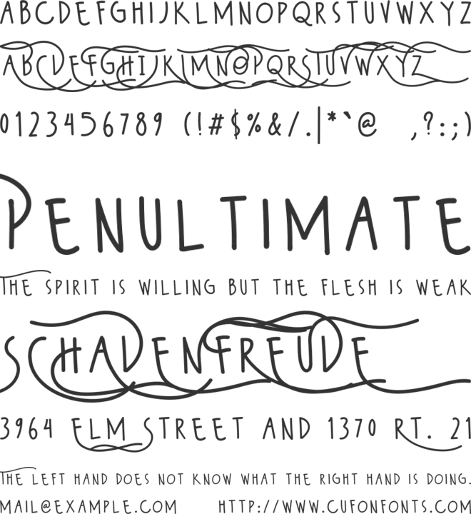 Wildy Sans font preview