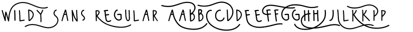 Wildy Sans Regular font