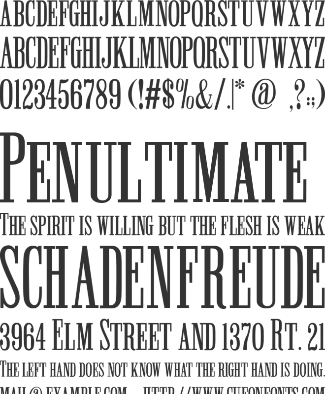 Winchester Caps font preview