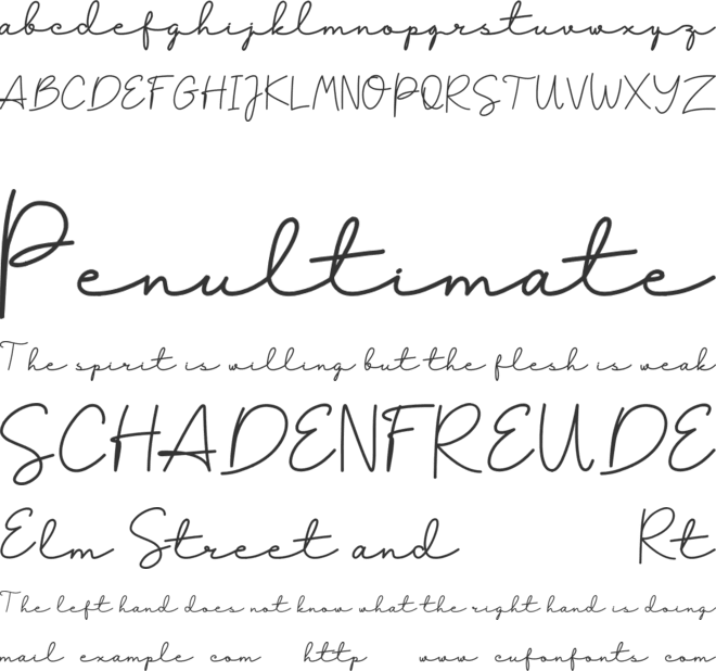 Fuzzybrand font preview