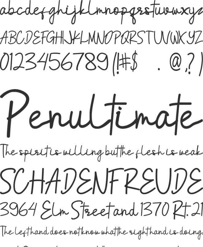 Anasthasia font preview