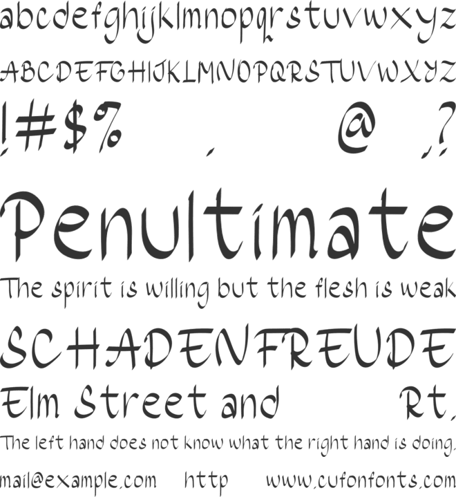 LongWish font preview