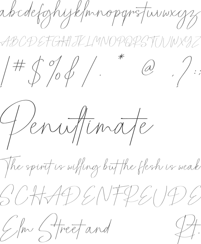 Pricillia font preview